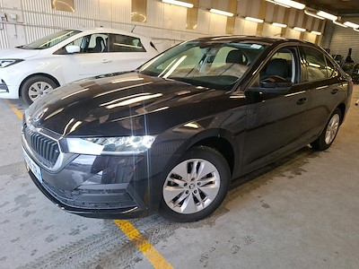 Skoda OCTAVIA Octavia 2.0 TDI 116ch Business DSG7 Euro6d-AP