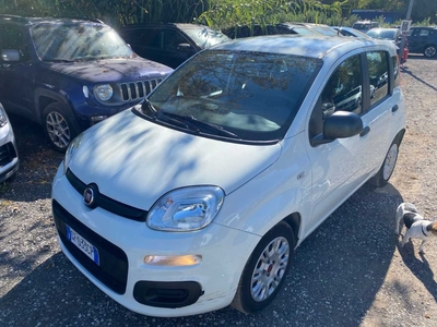 Fiat Panda 1.0 70cv S&S Hybrid, 2021
