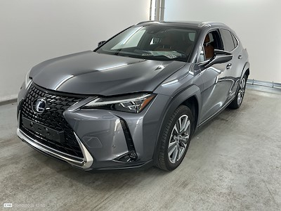 Lexus UX BEV 54.3KWH 300E PRIVILEGE LINE