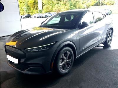 Ford Mustang MACH-E, 2021