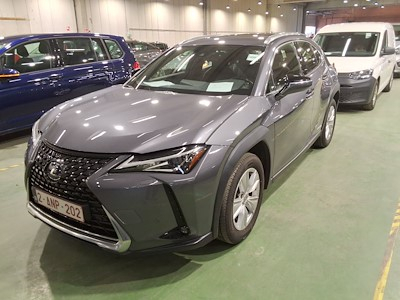 Lexus UX 2.0 250H BUSINESS LINE