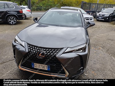 Lexus UX PC hybrid business 2wd -