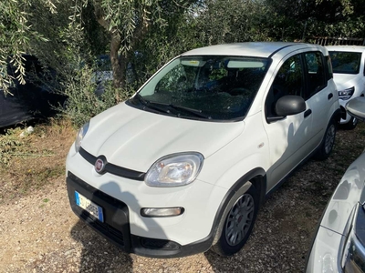 Fiat Panda 1.0 FireFly 70cv S&amp;S Hybrid, 2023
