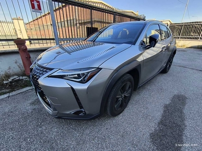 Lexus UX Hybrid Executive 4WD, 2021