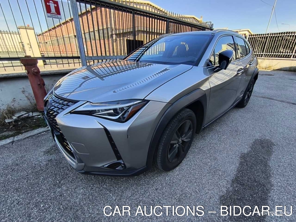 Lexus UX Hybrid Executive 4WD, 2021