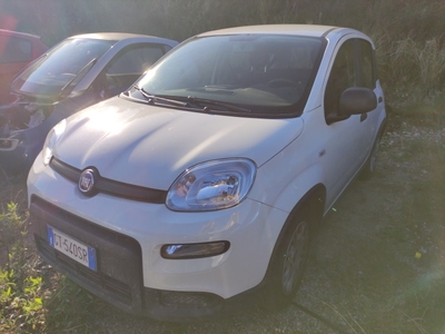 Fiat Panda 1.0 FireFly 70cv S&S Hybrid, 2024
