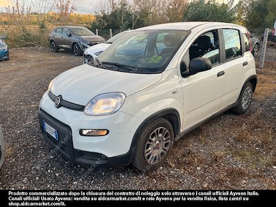Fiat panda 1.0 firefly 70cv SS -