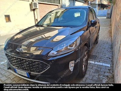 Ford kuga 1.5 ecoblue 120cv 2wd -