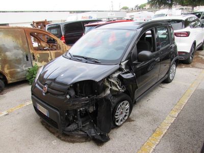 Fiat Panda 1.0 firefly hybrid s&s 70cv, 2023