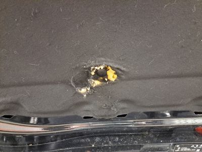 BMW Serie1-f40 REEKS HATCH 116DA (85 KW) 5D, 2021