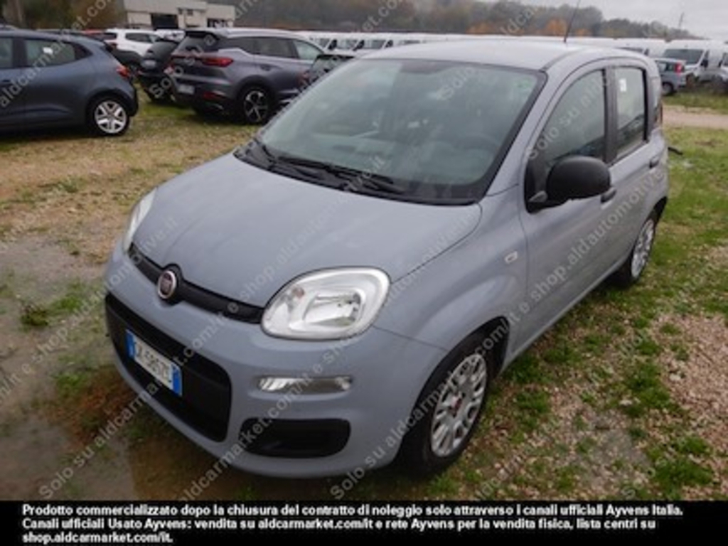 Fiat panda 1.0 firefly 70cv SS -