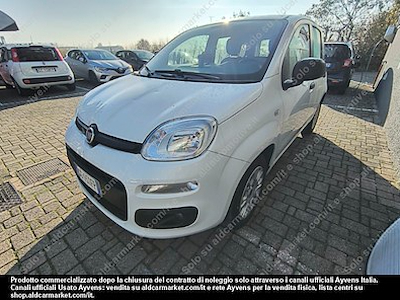 Fiat panda consip14 1.2 69 CV -