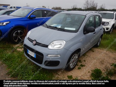 Fiat panda 1.0 firefly 70cv SS -