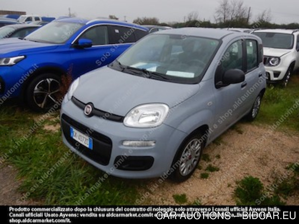Fiat panda 1.0 firefly 70cv SS -