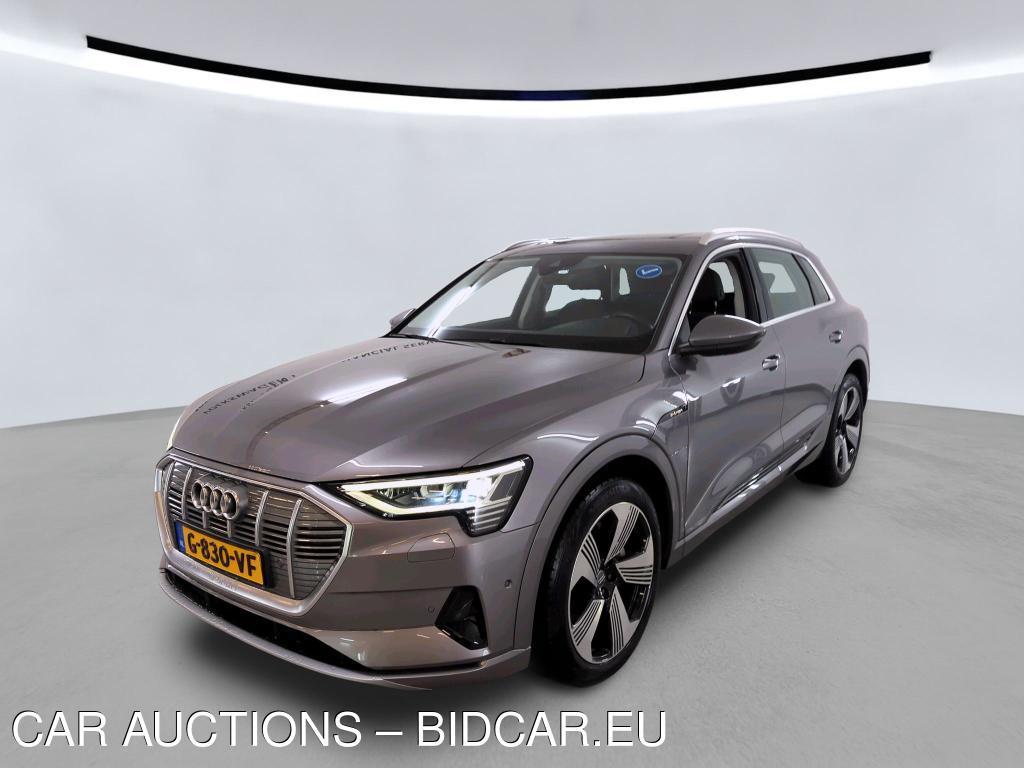 Audi E-tron 50 BEV 313PK QUATTRO LAUNCH EDITION PLUS PRO LINE TOUR TREKHAAK, 2019