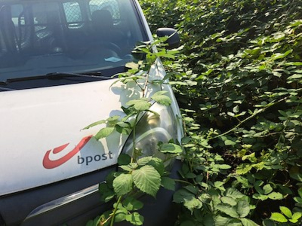 Renault Kangoo express maxi ZE - 2013 ZE STOCK