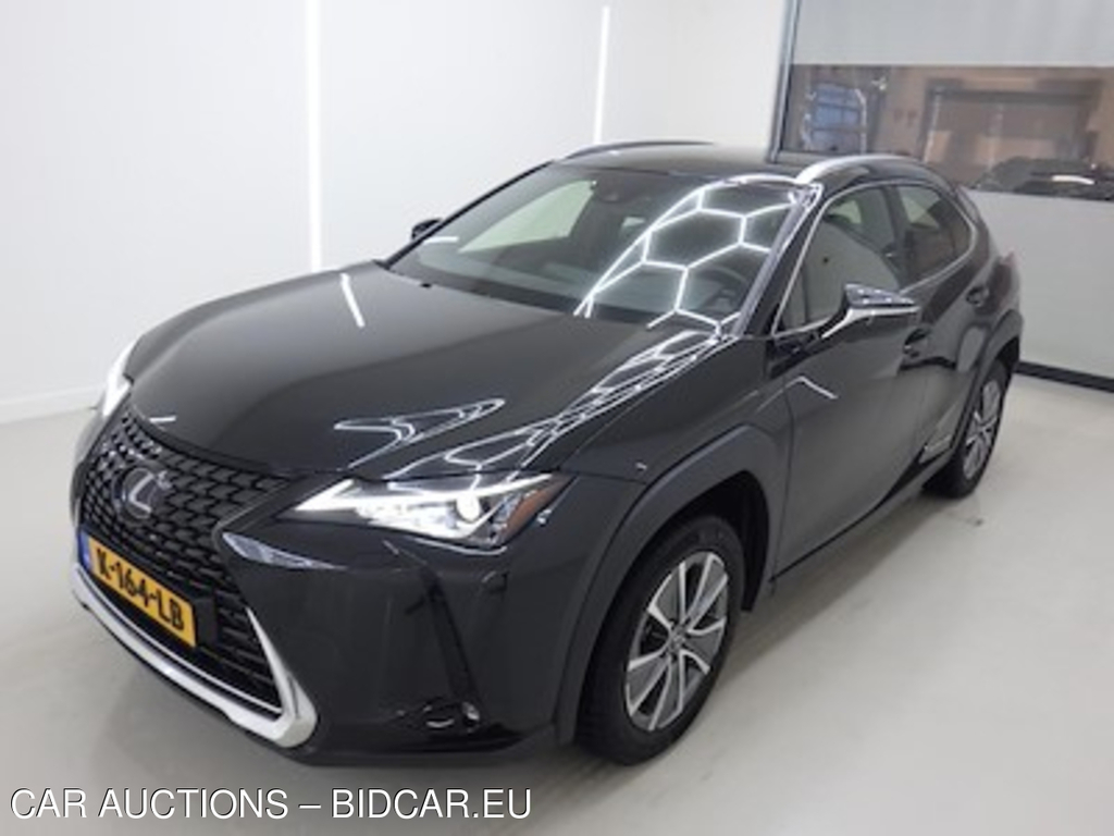 Lexus Ux 300e Electric Business 5d