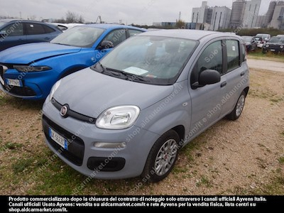 Fiat panda 1.0 firefly 70cv SS -