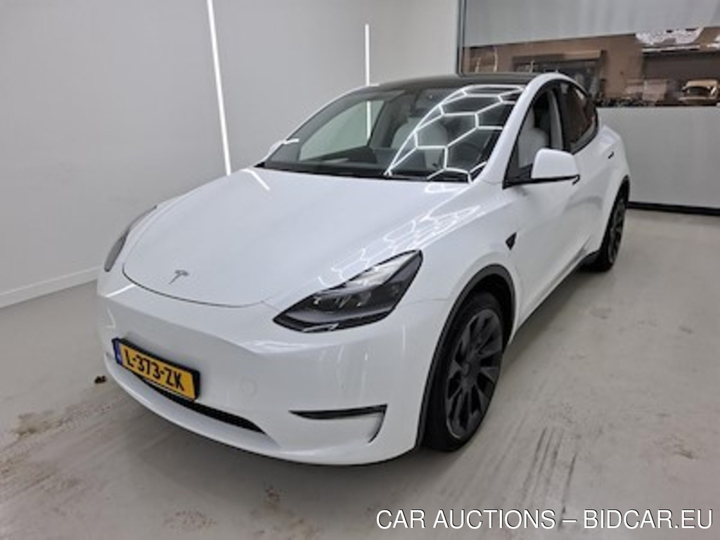 Tesla Model Y Long Range Dual Motor AWD Enhanced Autopilot
