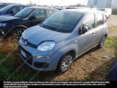 Fiat panda 1.0 firefly 70cv SS -