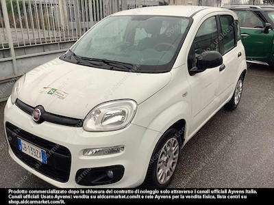 Fiat panda consip14 1.2 69 CV -