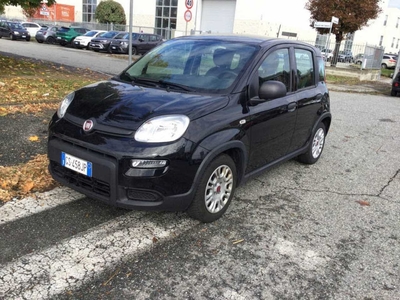 Fiat Panda 1.0 FireFly 70cv S&S Hybrid, 2023