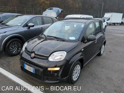 Fiat Panda 1.0 FireFly 70cv S&amp;S Hybrid, 2023