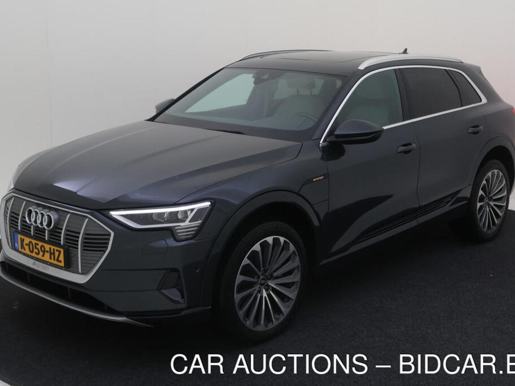 Audi E-tron 0.0 50 BEV 313PK QUATTRO BUSINESS EDITION PLUS TOUR TREKHAAK, 2020