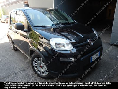 Fiat panda 1.0 firefly 70cv SS -
