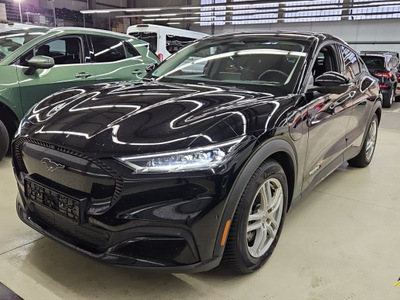 Ford Mustang MACH-E, 2021