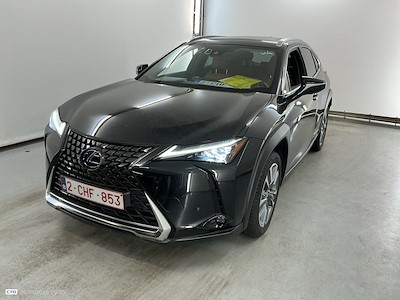 Lexus UX BEV 54.3KWH 300E PRIVILEGE LINE
