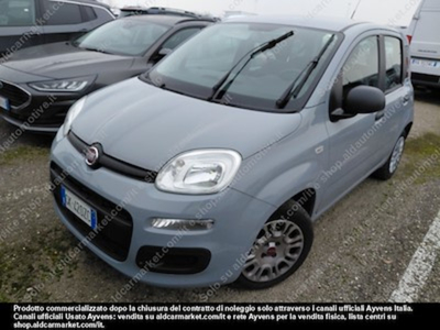 Fiat panda 1.0 firefly 70cv SS -