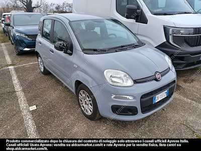 Fiat panda 1.0 firefly 70cv SS -