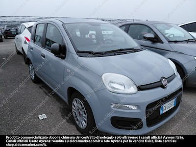 Fiat panda 1.0 firefly 70cv SS -