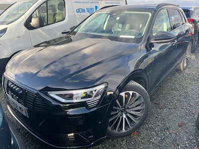 Audi E-TRON e-tron 50 313ch Avus e-quattro