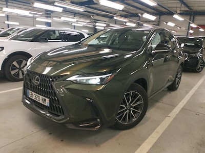 Lexus NX NX 350h Pack Business 4WD