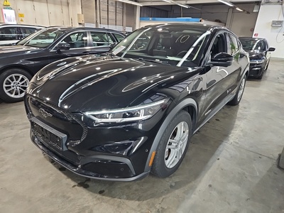 Ford Mustang MACH-E, 2021