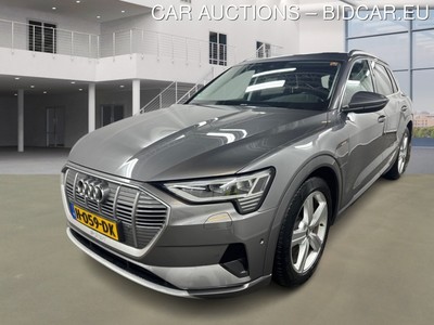 Audi E-tron 0.0 E-TRON 50 QUATTRO LAUNCH EDITION PLUS 71 KWH, 2019