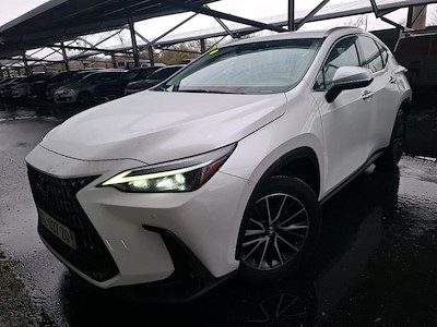 Lexus NX NX 350h Pack Business 4WD