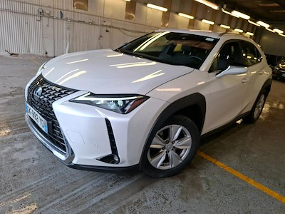 Lexus UX UX 250h 2WD Pack Confort Business