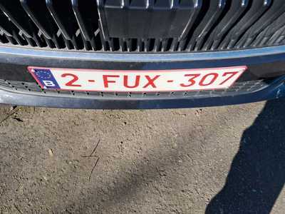 Skoda Fabia Selection 1.0TSi 115pk/cv 5p DSG7, 2024