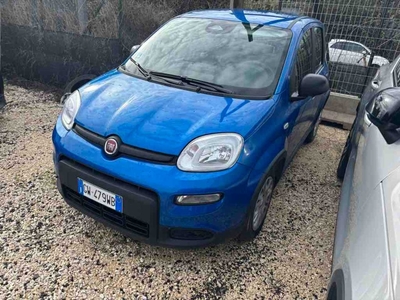 Fiat Panda 1.0 FireFly 70cv S&S Hybrid, 2024