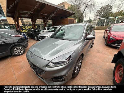 Ford kuga 1.5 ecoblue 120cv 2wd -