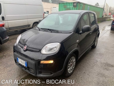 Fiat Panda 1.0 FireFly 70cv S&amp;S Hybrid, 2023