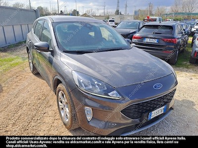 Ford kuga 1.5 ecoblue 120cv 2wd -