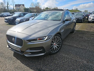 Jaguar XE XE P250 SE BVA8