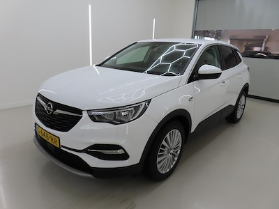 Opel Grandland X 1.2 Turbo 130pk S&amp;S Business Executive