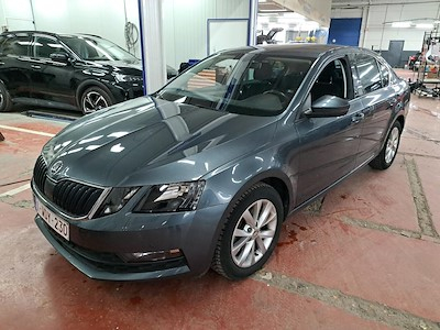 Skoda Octavia diesel - 2017 1.6 CR TDi Ambition
