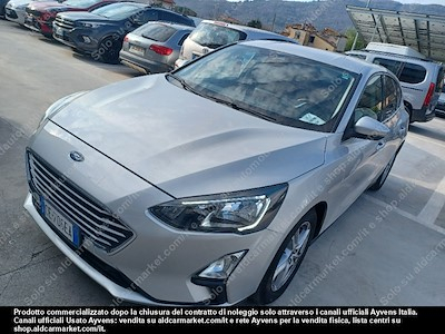 Ford focus 1.5 ecoblue 95cv business -