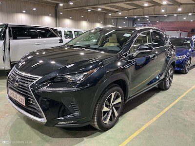 Lexus Nx 300h - 2017 2.5i AWD Privilege Line E-CVT (EU6.2)